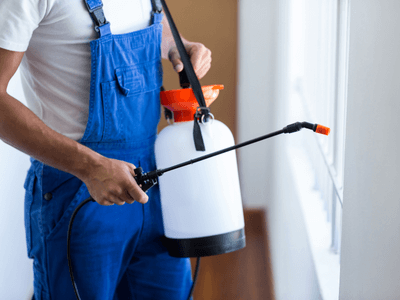 About Portland Pest Control - 24 hour pest control experts in Portland